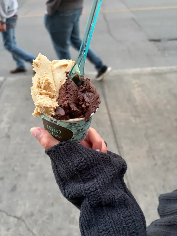 Photo from our September 19, 2026 visit to Mio Gelato